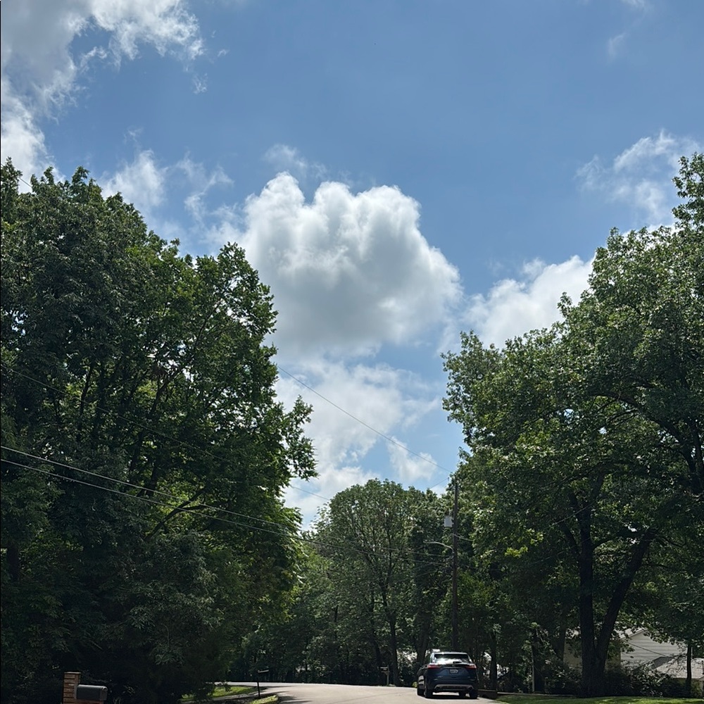 Scenic Nature Photograph with Blue Sky